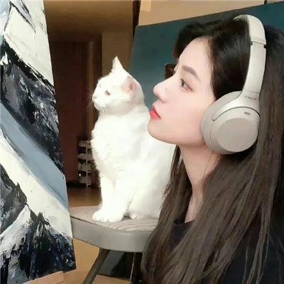 派对怪兽